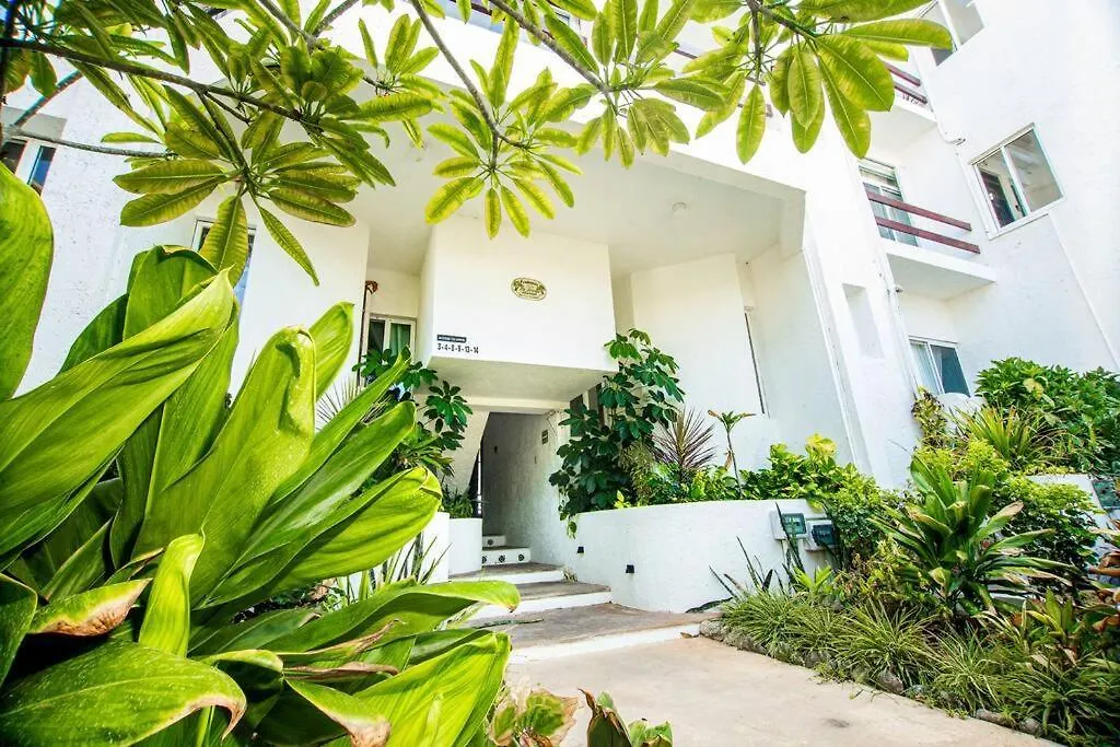 Caribbean Sea Front 2 Bedroom 2 Ba - Ground Floor- Large Pool -Seaweed-Free Beach Akumal México