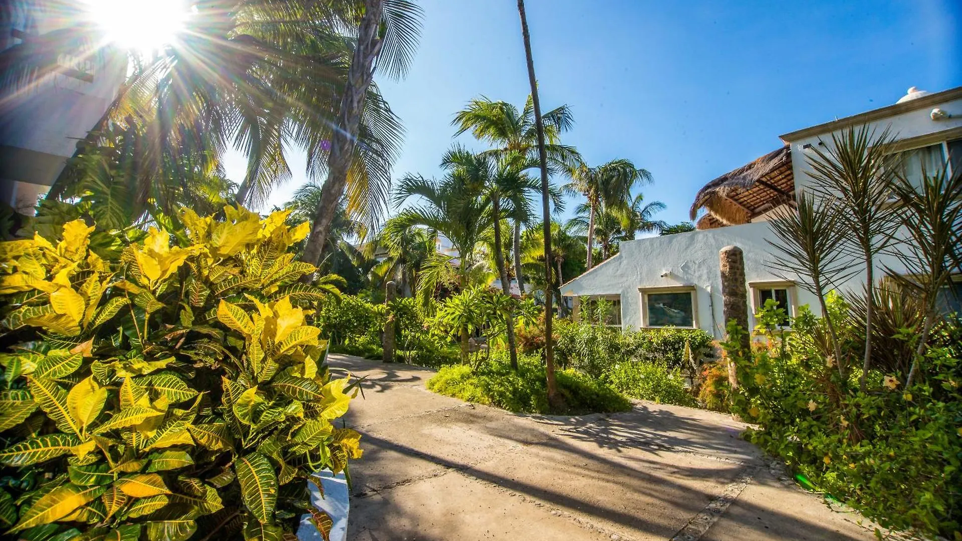 Caribbean Sea Front 2 Bedroom 2 Ba - Ground Floor- Large Pool -Seaweed-Free Beach Akumal 0*,  Mexiko