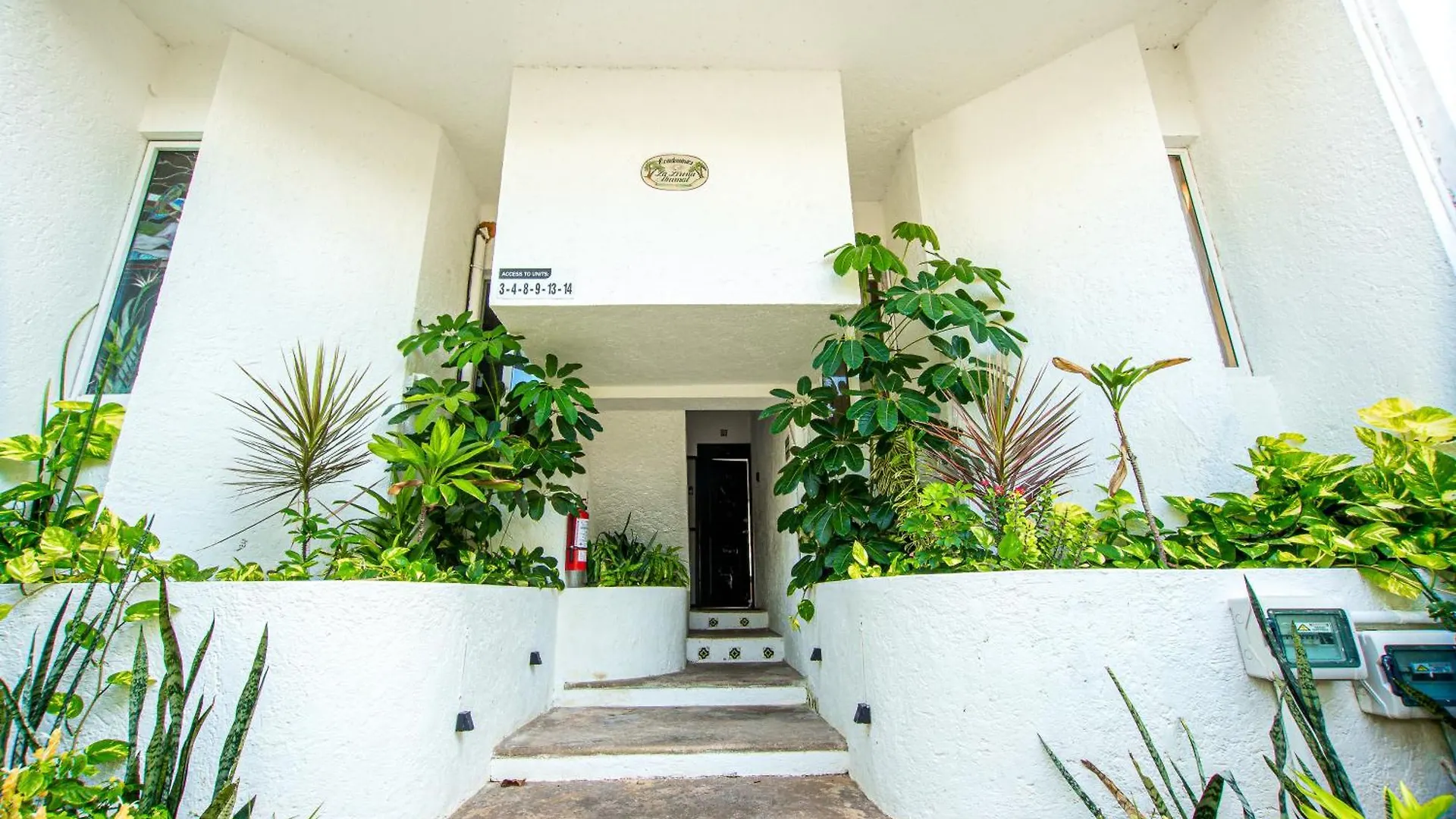 Apartmán Caribbean Sea Front 2 Bedroom 2 Ba - Ground Floor- Large Pool -Seaweed-Free Beach Akumal
