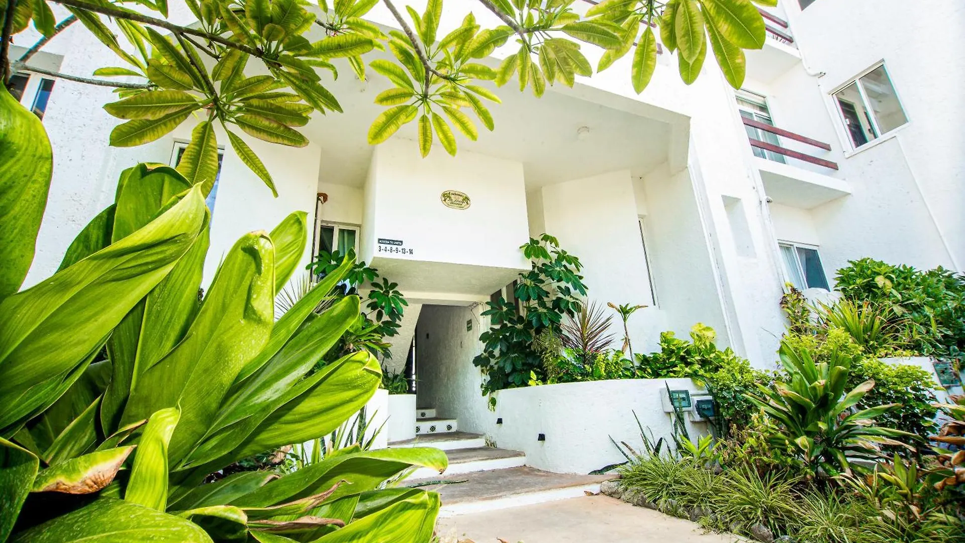 Caribbean Sea Front 2 Bedroom 2 Ba - Ground Floor- Large Pool -Seaweed-Free Beach Akumal Mexiko
