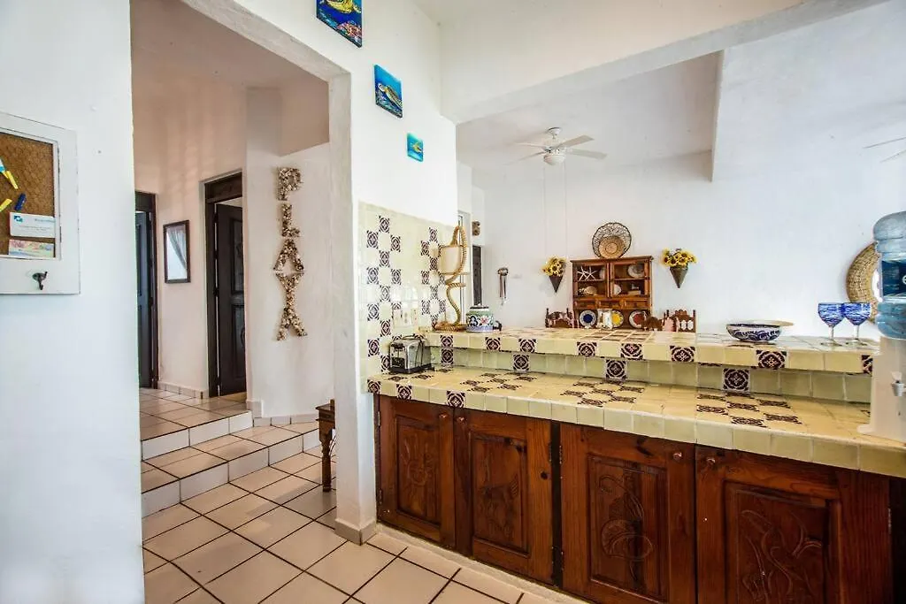 Apartmán Caribbean Sea Front 2 Bedroom 2 Ba - Ground Floor- Large Pool -Seaweed-Free Beach Akumal