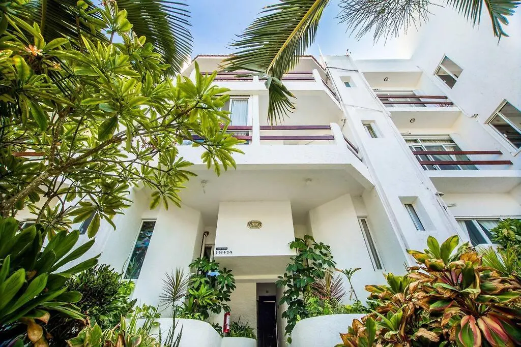 Apartmán Caribbean Sea Front 2 Bedroom 2 Ba - Ground Floor- Large Pool -Seaweed-Free Beach Akumal