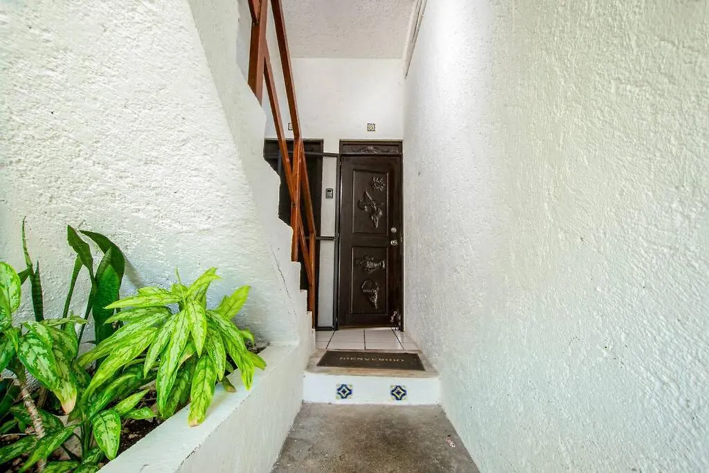 Caribbean Sea Front 2 Bedroom 2 Ba - Ground Floor- Large Pool -Seaweed-Free Beach Akumal 0*,  Mexiko