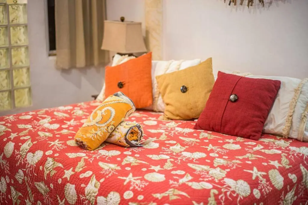 Apartmán Caribbean Sea Front 2 Bedroom 2 Ba - Ground Floor- Large Pool -Seaweed-Free Beach Akumal